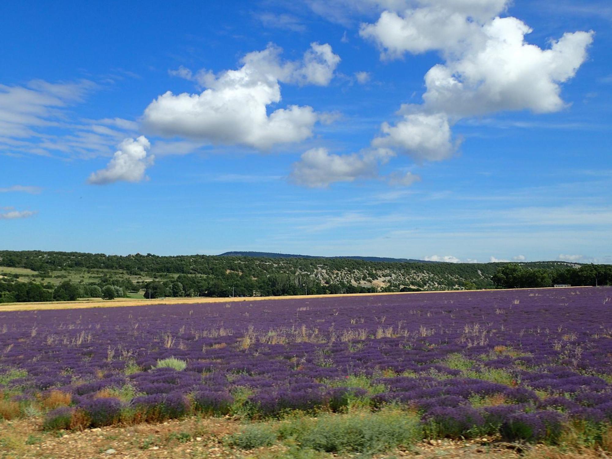 Gite De L'Aspa Saint-Christol  外观 照片