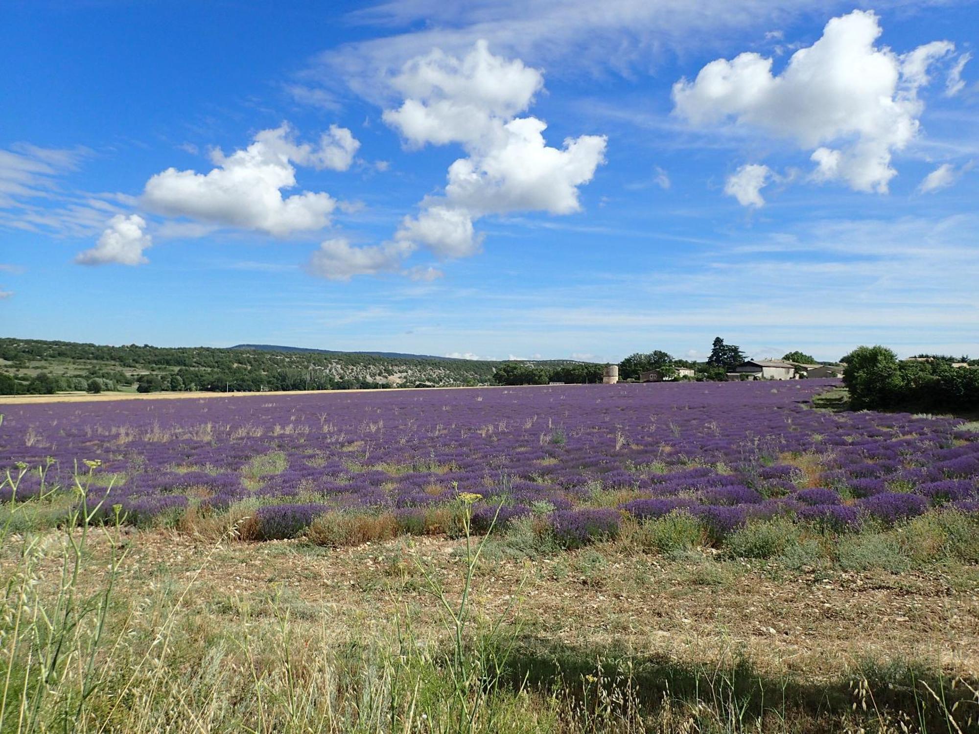 Gite De L'Aspa Saint-Christol  外观 照片